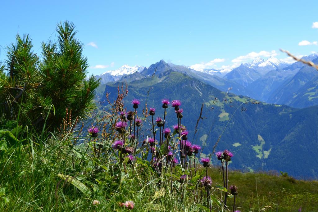 Apartments Emma, Zillertal, Tirol Kaltenbach Kültér fotó